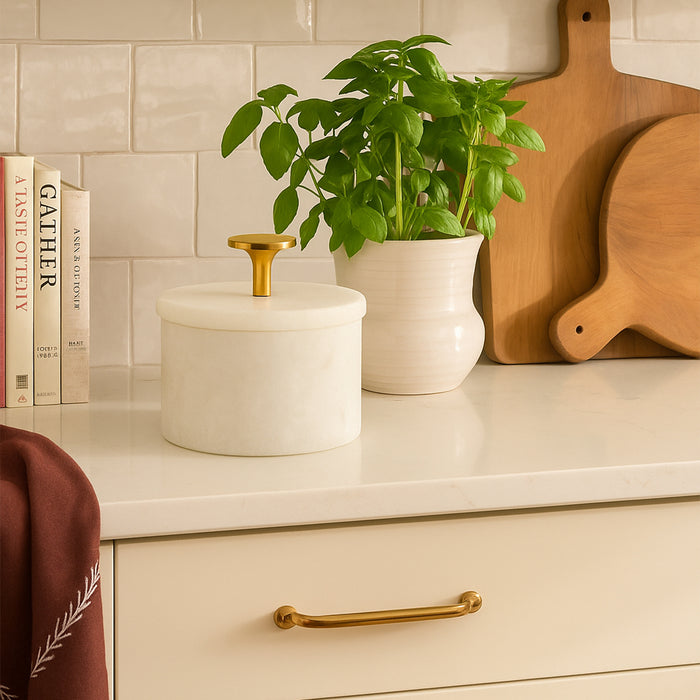 White Makranan Marble Salt Cellar with Lid and Brass Knob, 3 Inch Box for Salt and Spices